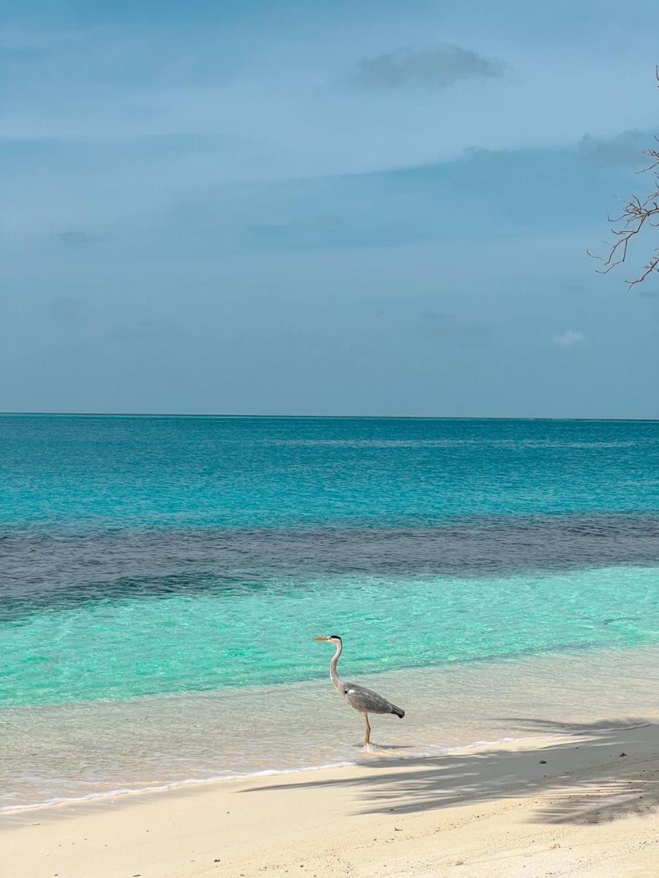 Infinite Lagoon Mandhoo Exterior foto